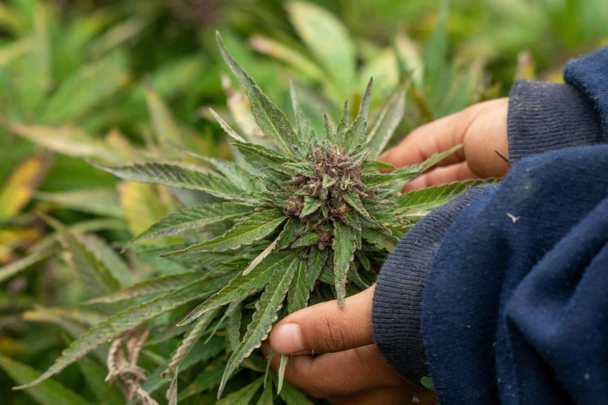 truck driver legislation