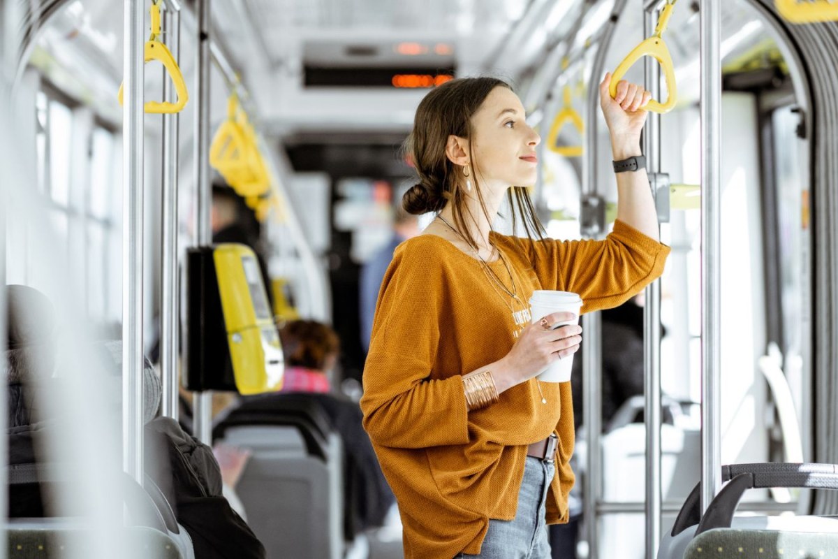 public transport inspector