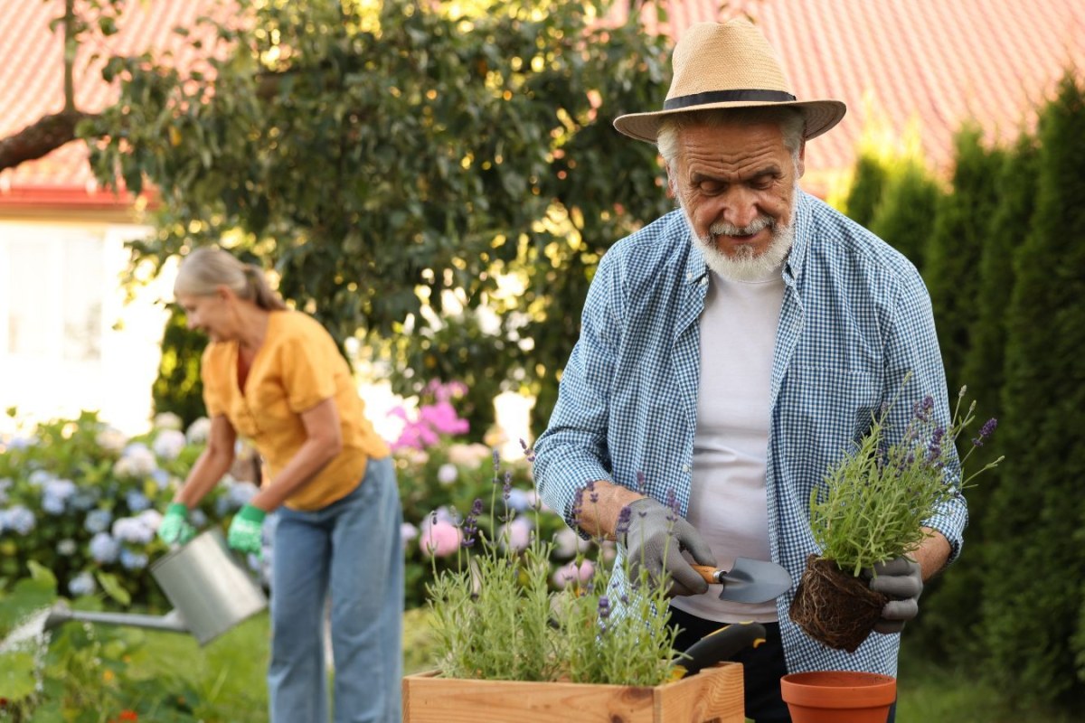 truck driver countryside