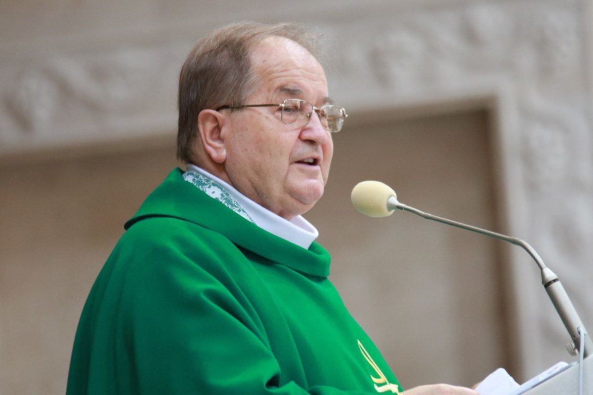 financial audit document