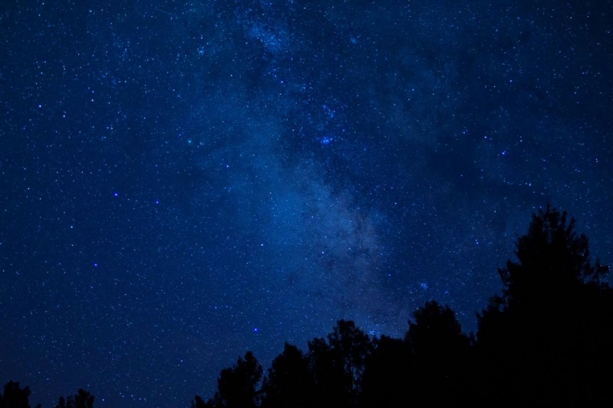 northern lights truck