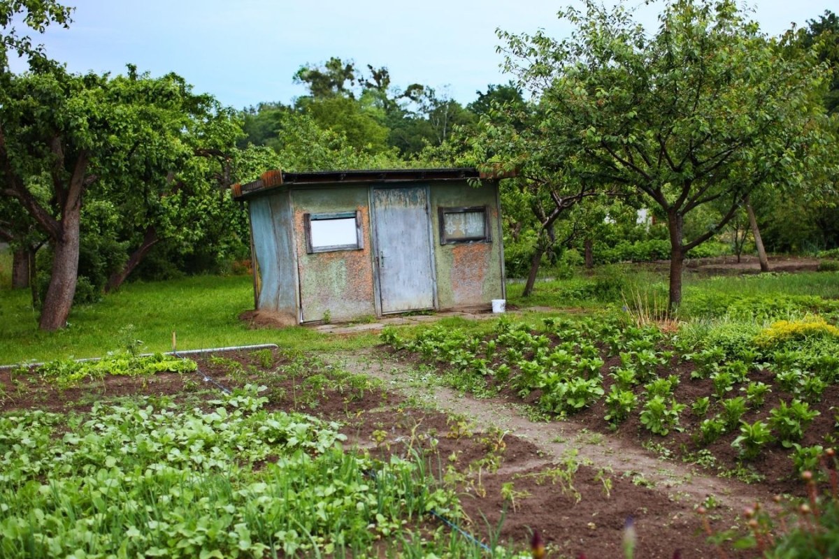 garden shed construction
