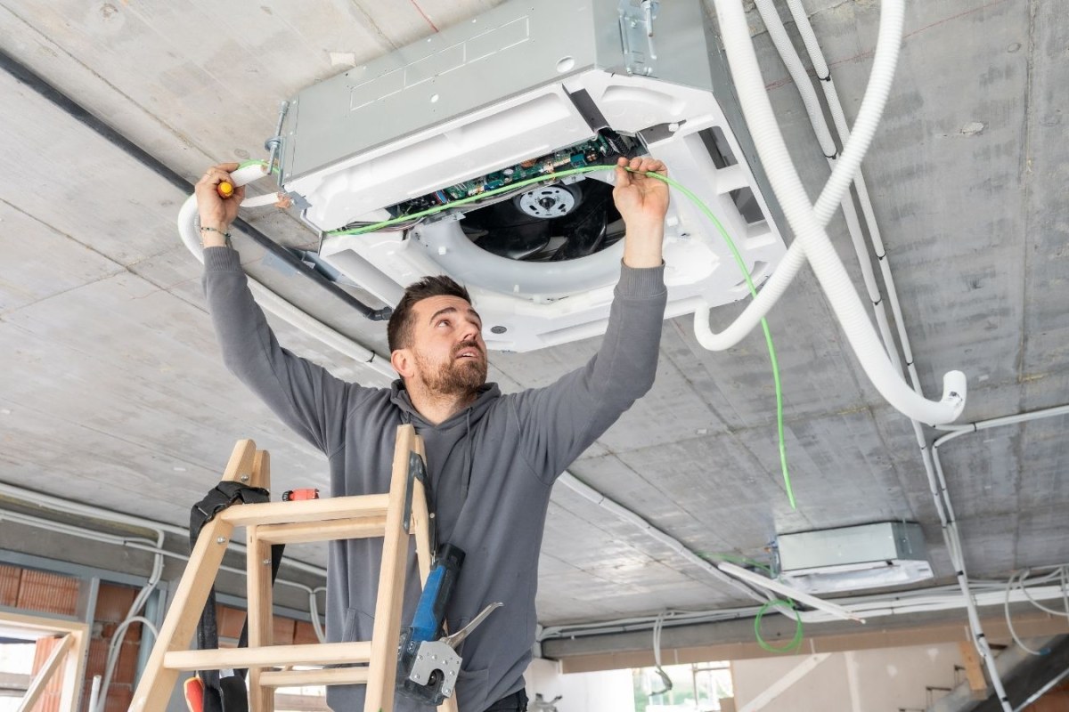 apartment renovation conflict