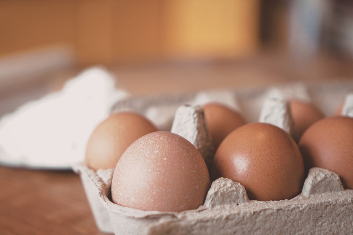 truck driver recycling