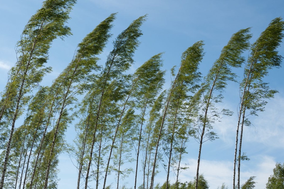 truck strong wind storm