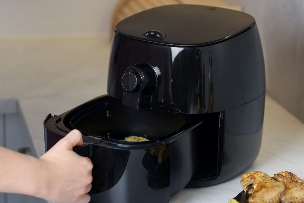 recalled air fryer