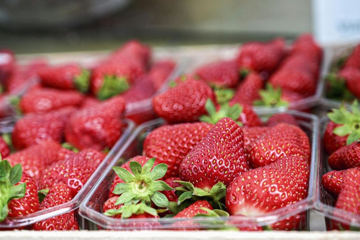 refrigerated truck strawberries