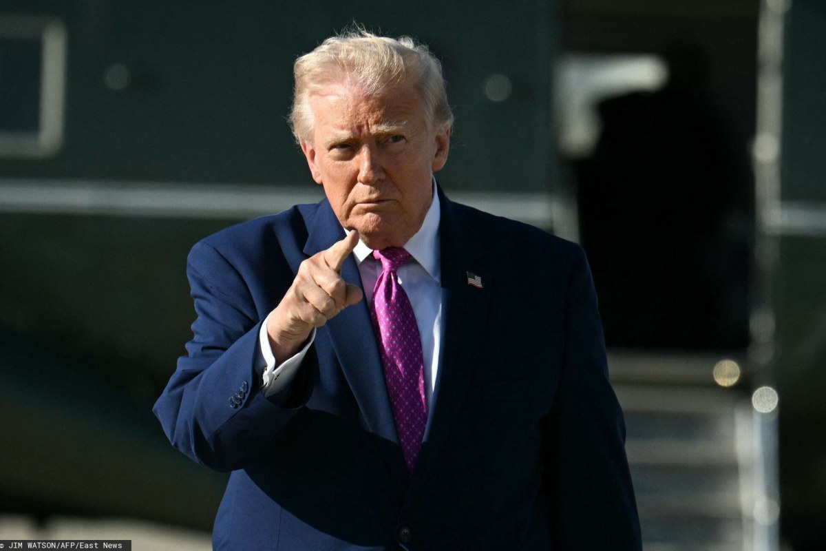 Donald Trump portrait