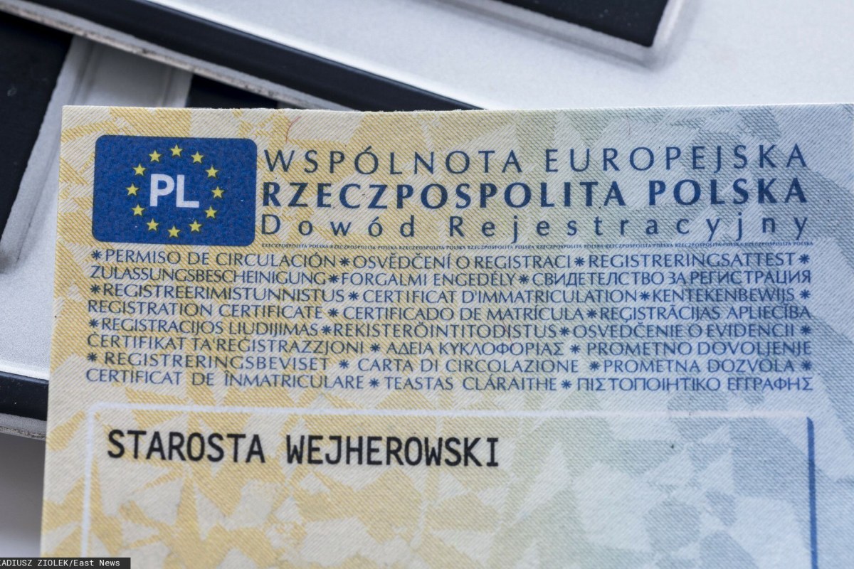 digital car registration document