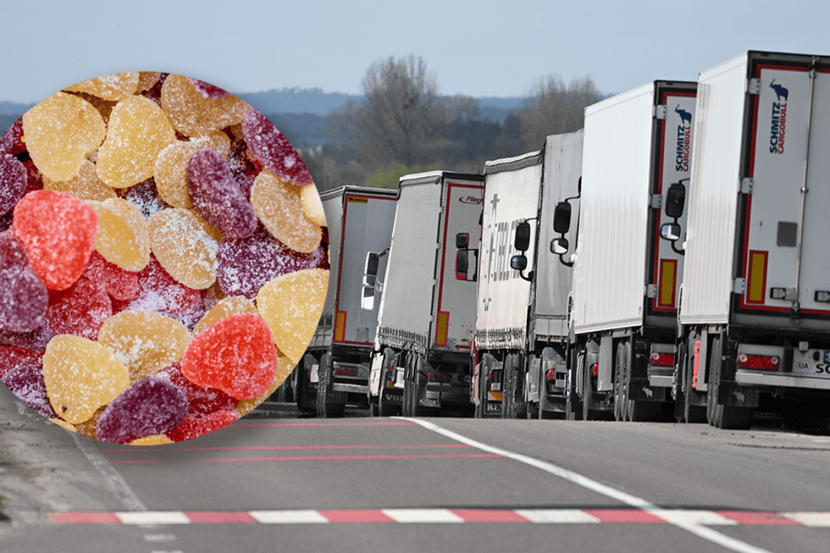 truck inspection customs