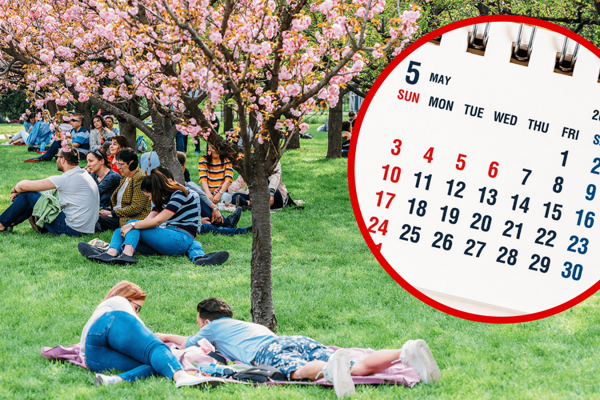 truck driver calendar