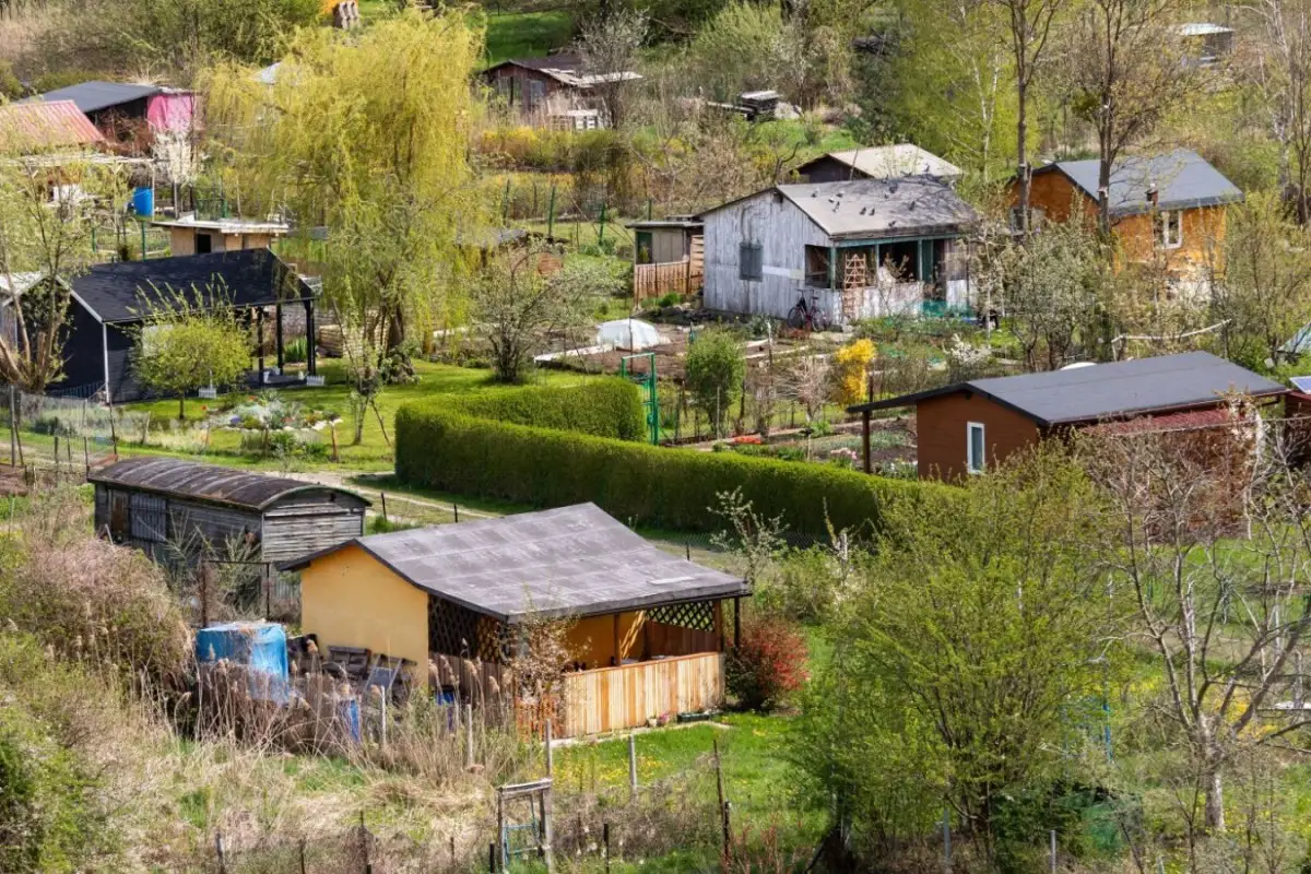 allotment garden city