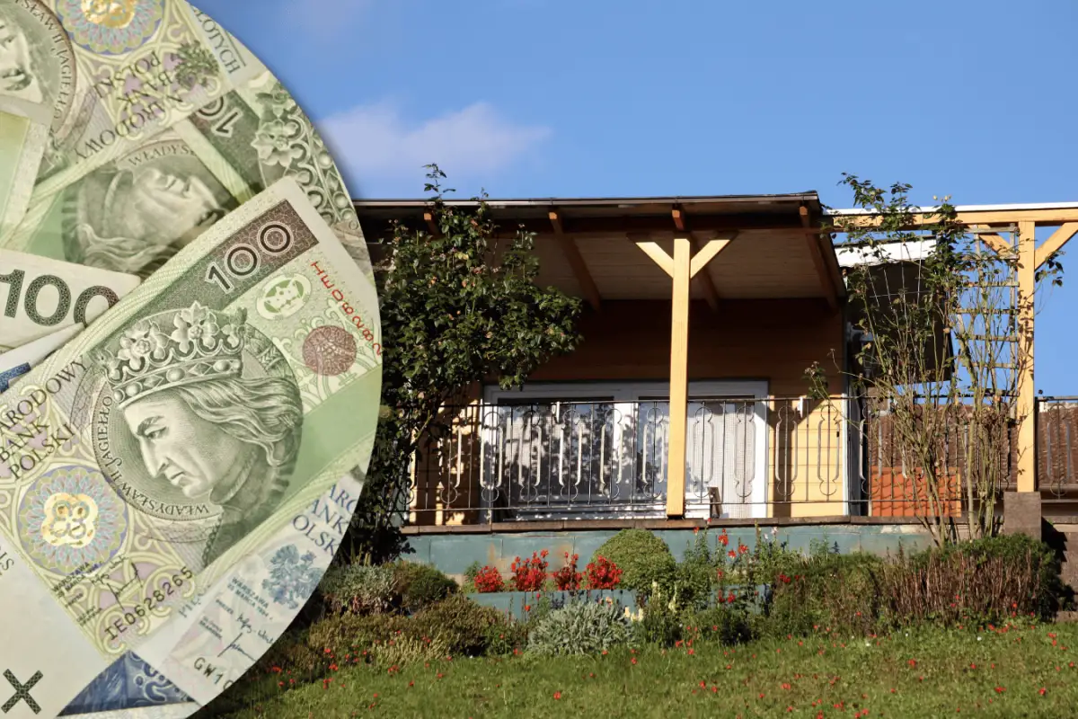 allotment garden fence