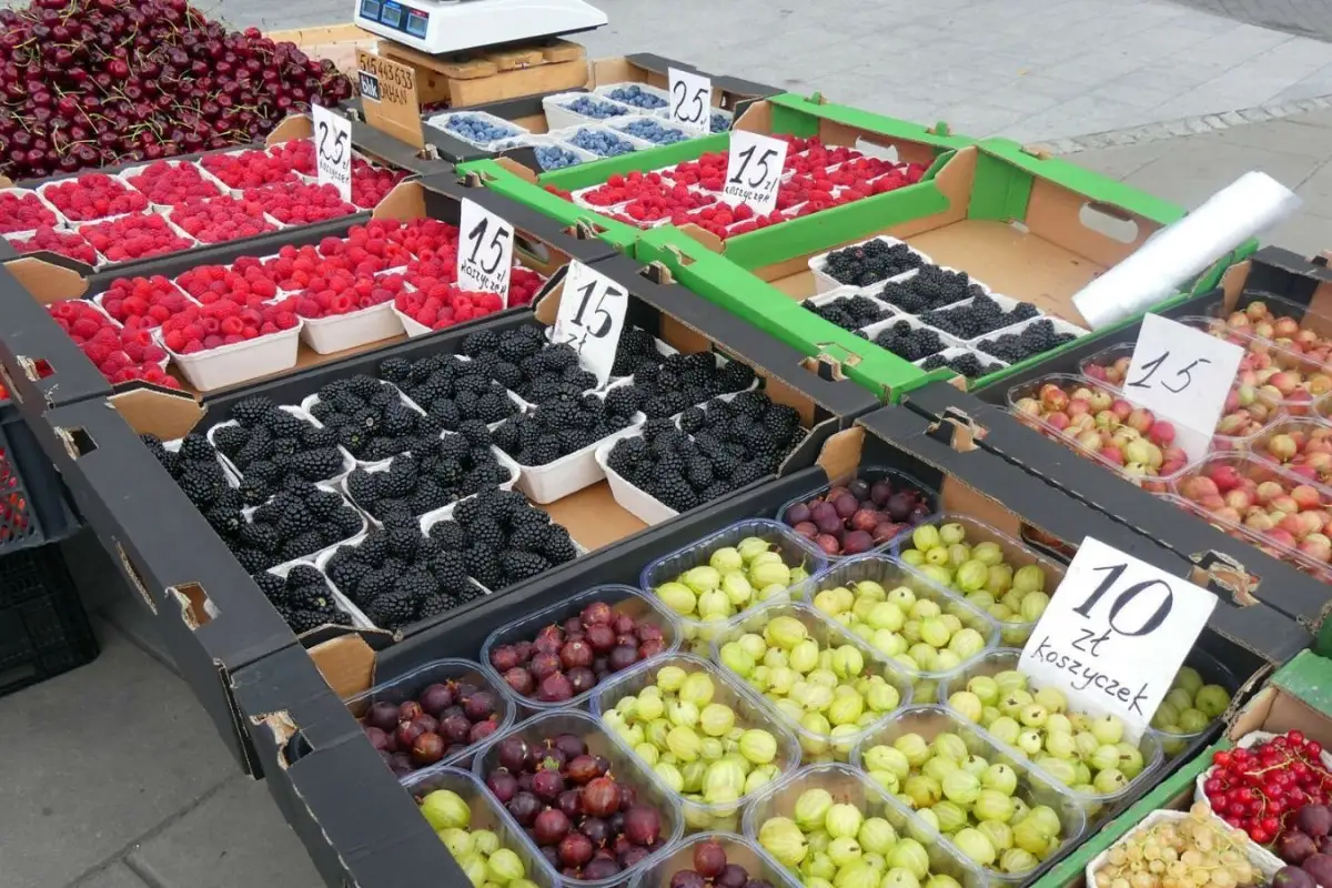 refrigerated truck berries