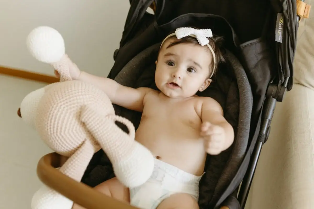 baby bouncer product