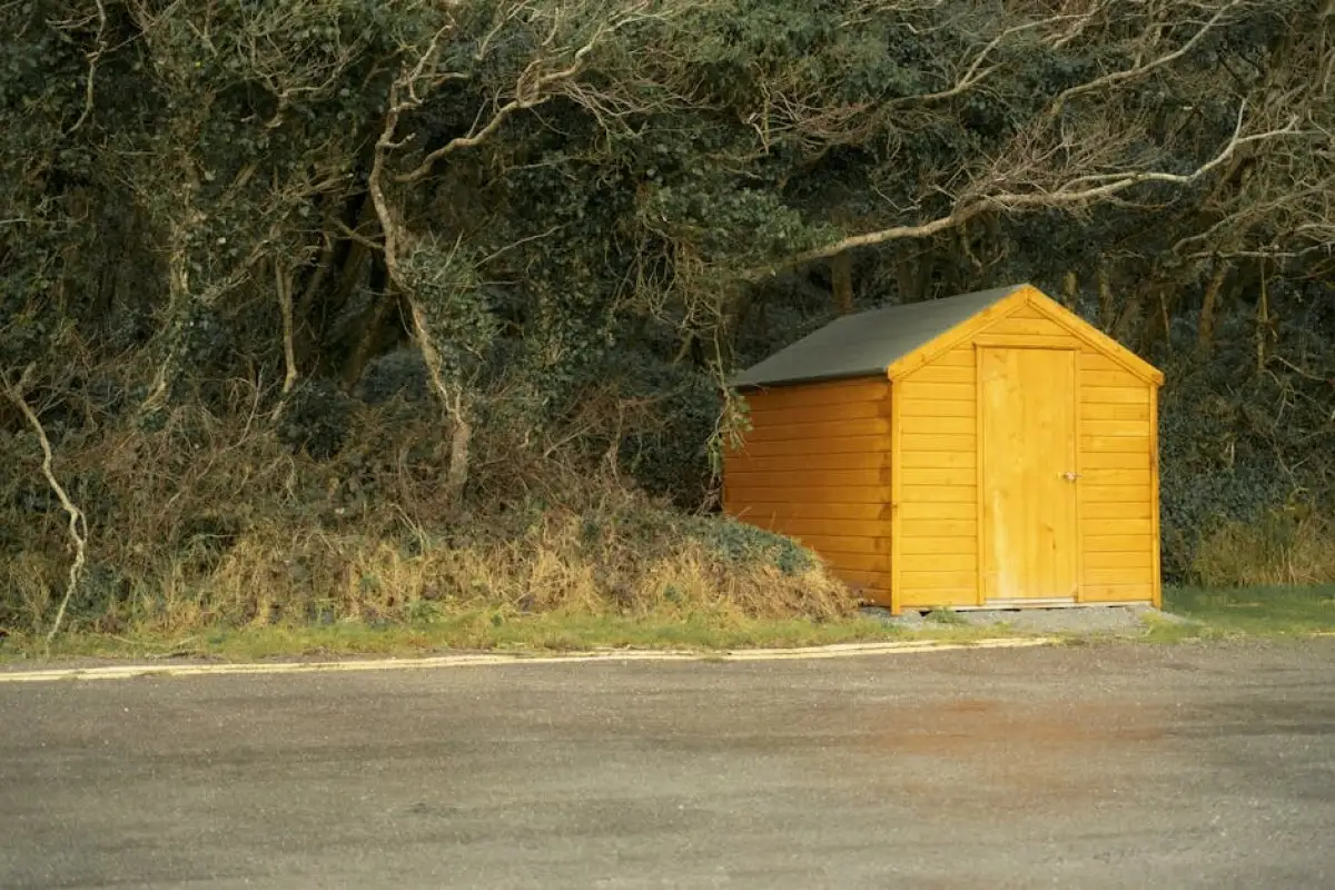 shed fine inspection