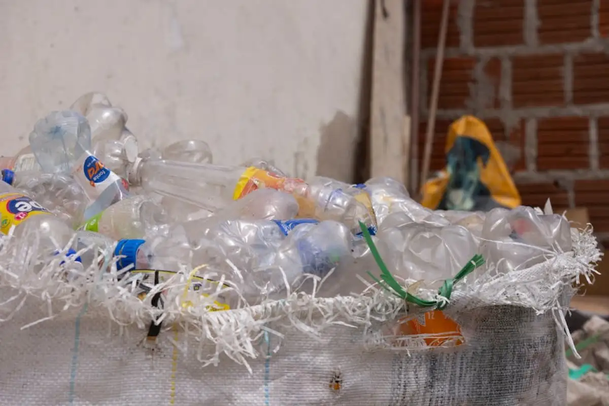 plastic bottle recycling