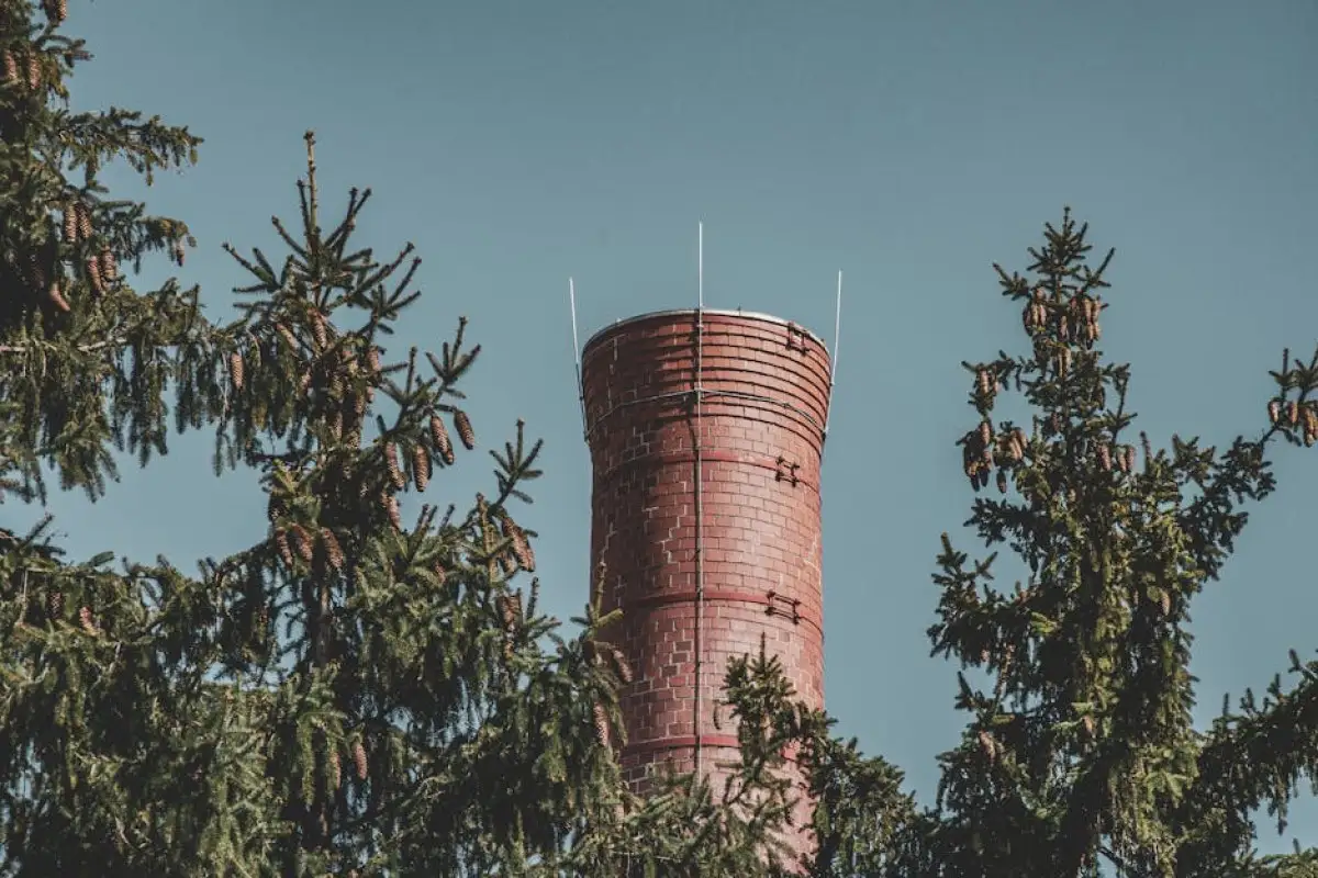chimney inspection