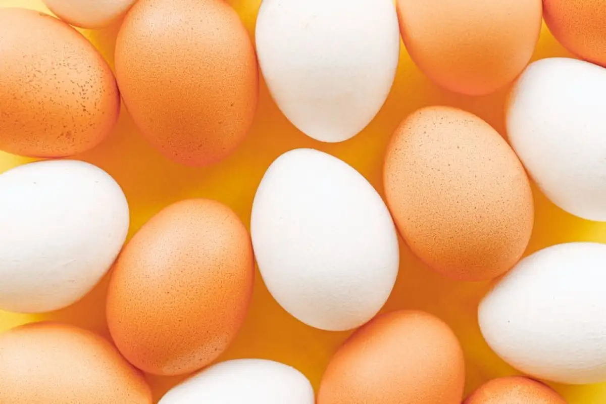 eggs supermarket