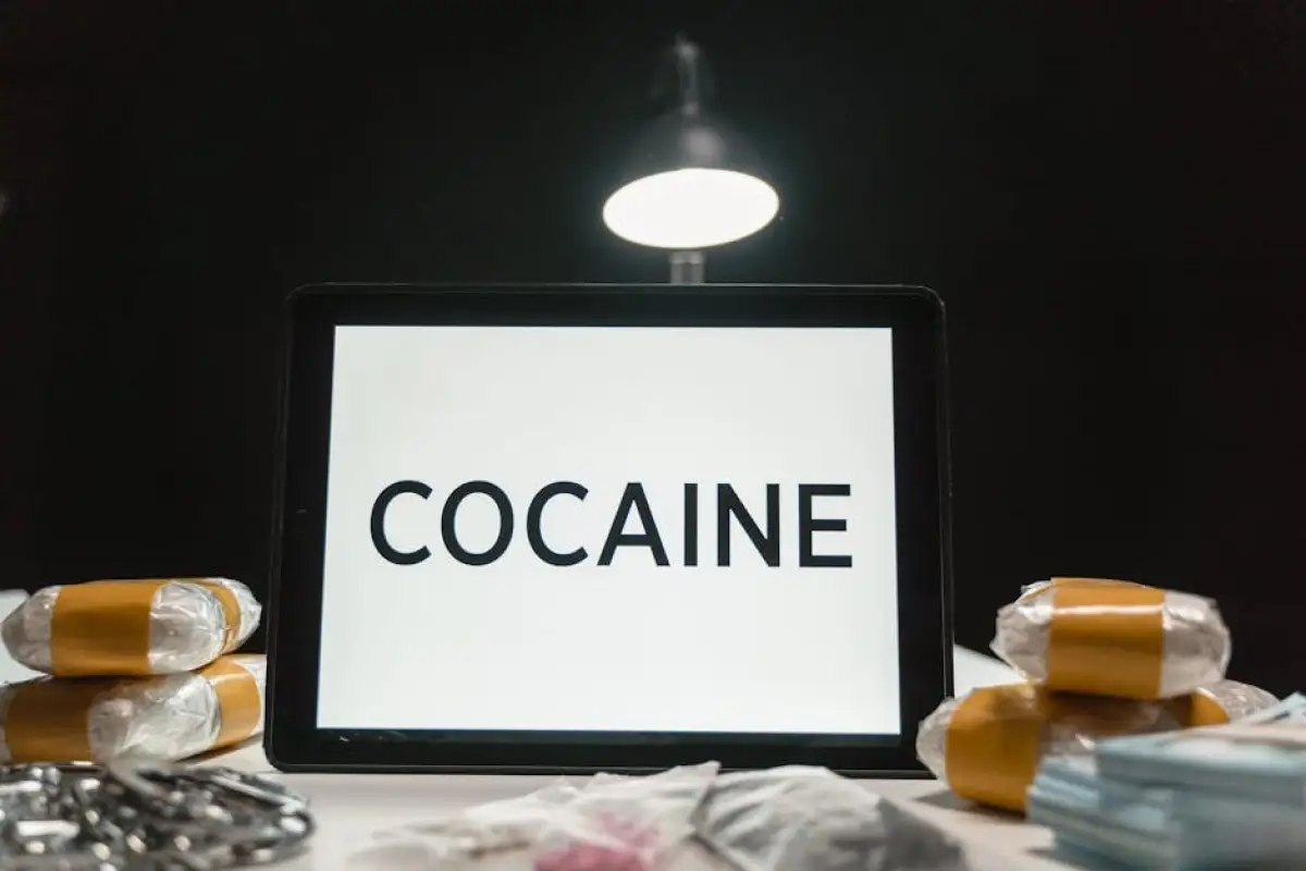 CBP drug seizure