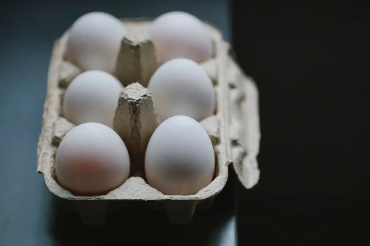 eggs in carton