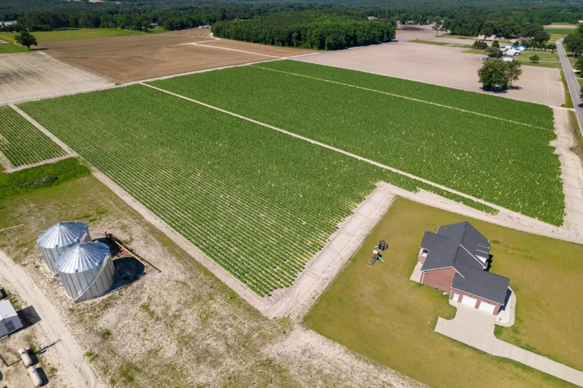 agricultural farm survey