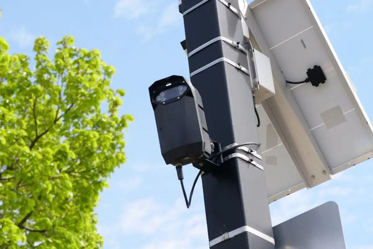 Motive cargo sensor