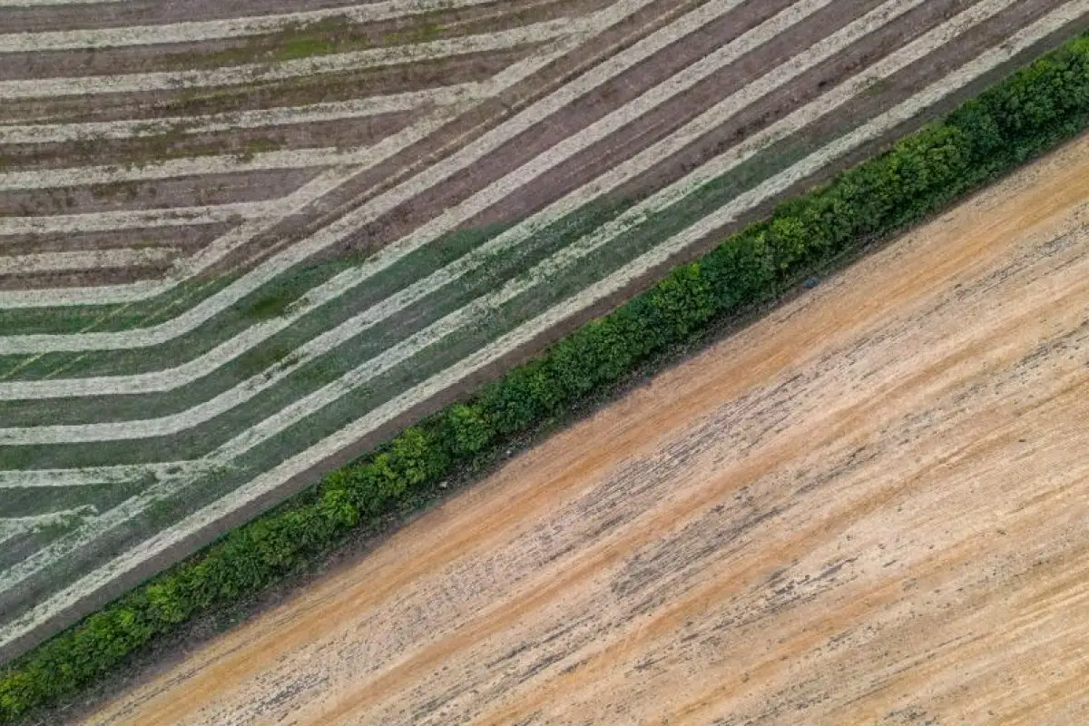 Polish farmer field