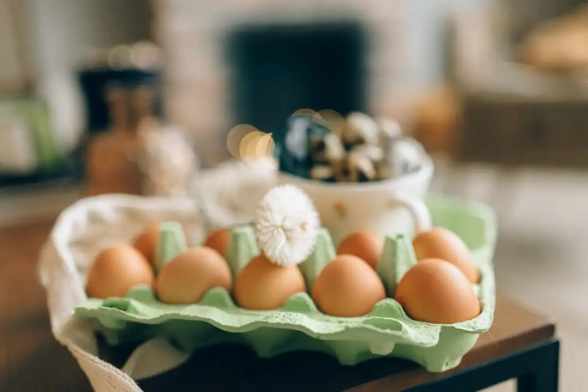 eggs in crate