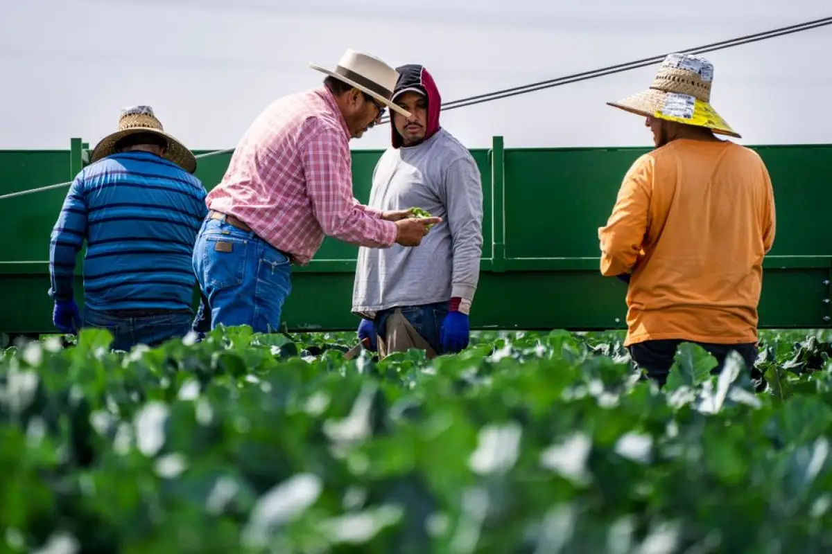 Texas CDL farm worker