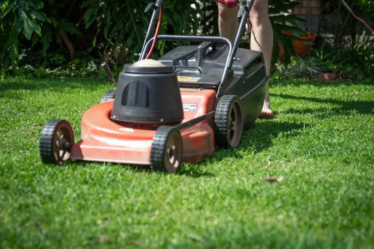 lawn mowing noise