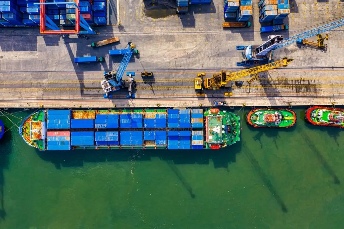 customs enforcement supply chain