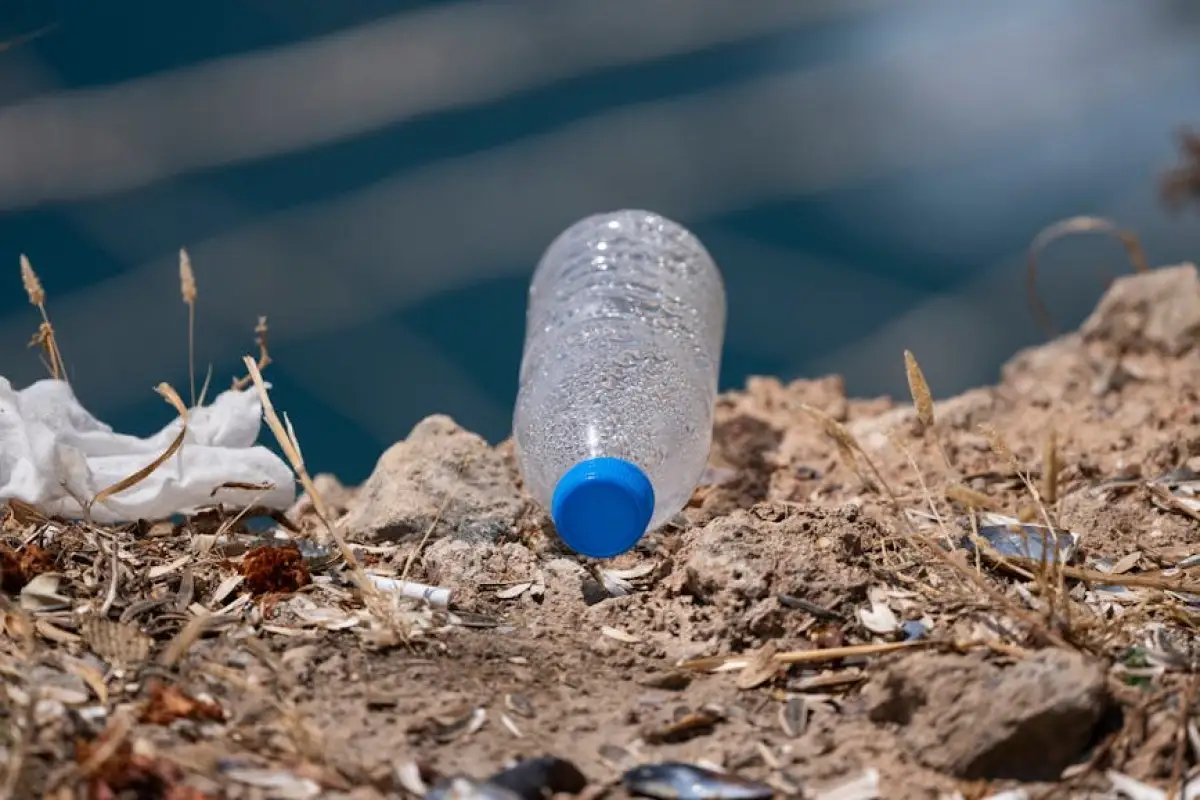 hotel restaurant plastic ban