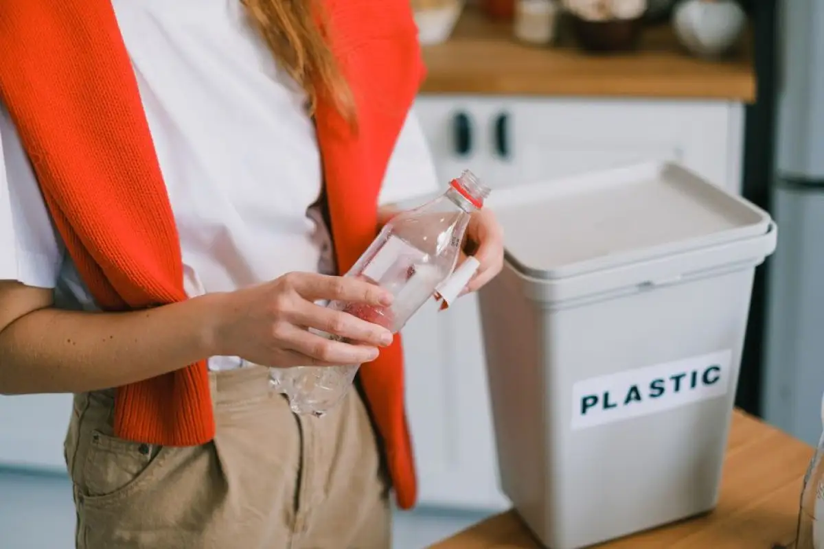 recycling promotion