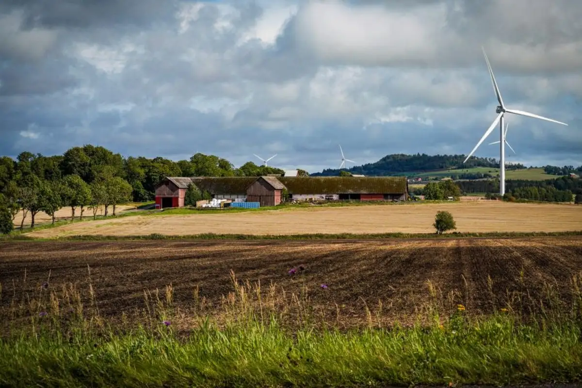 wind farm landscape
