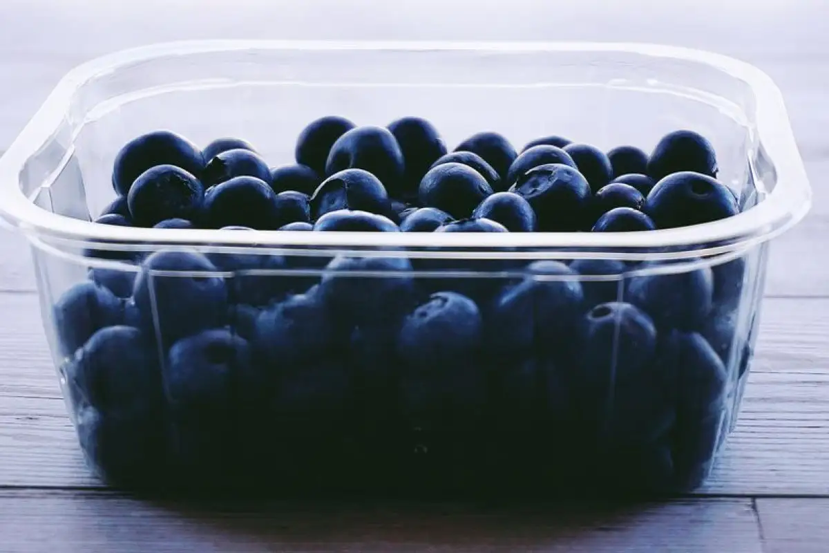 blueberries container