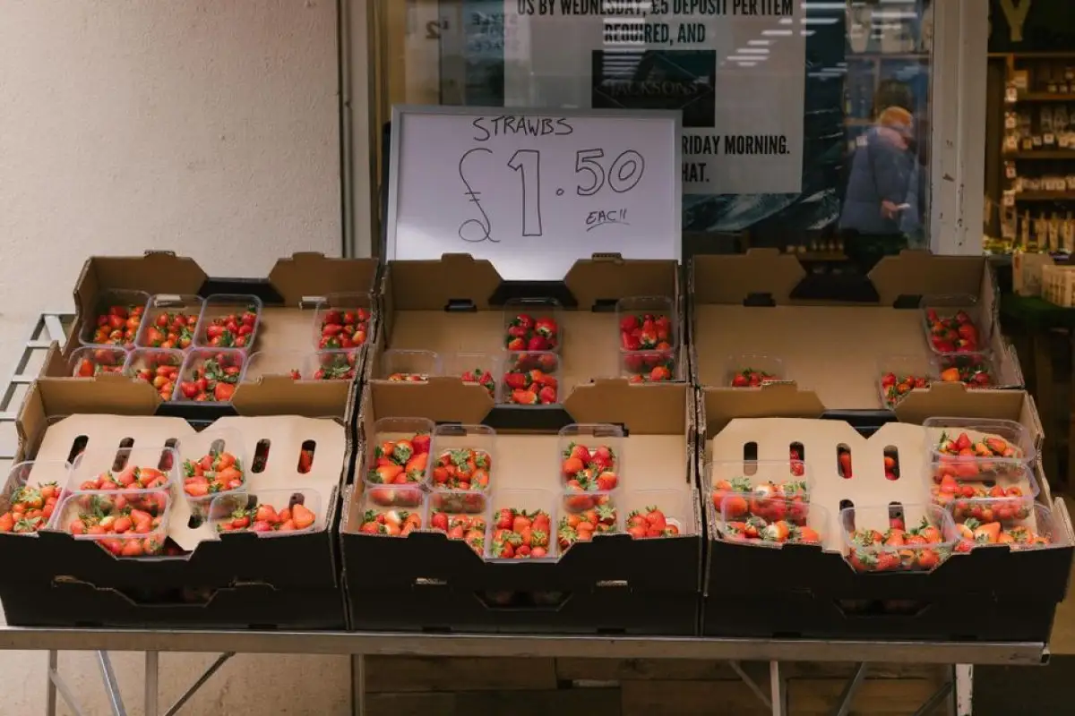 grocery store prices