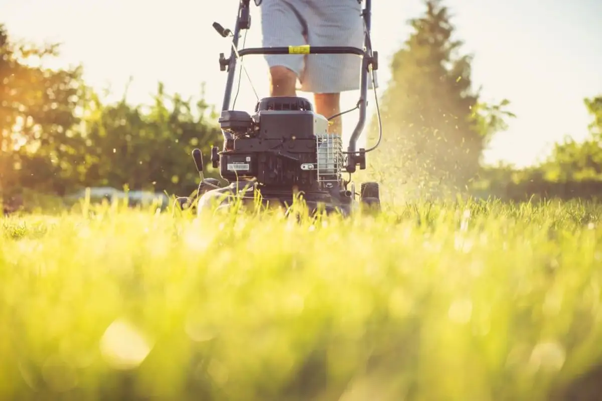 lawn mower noise