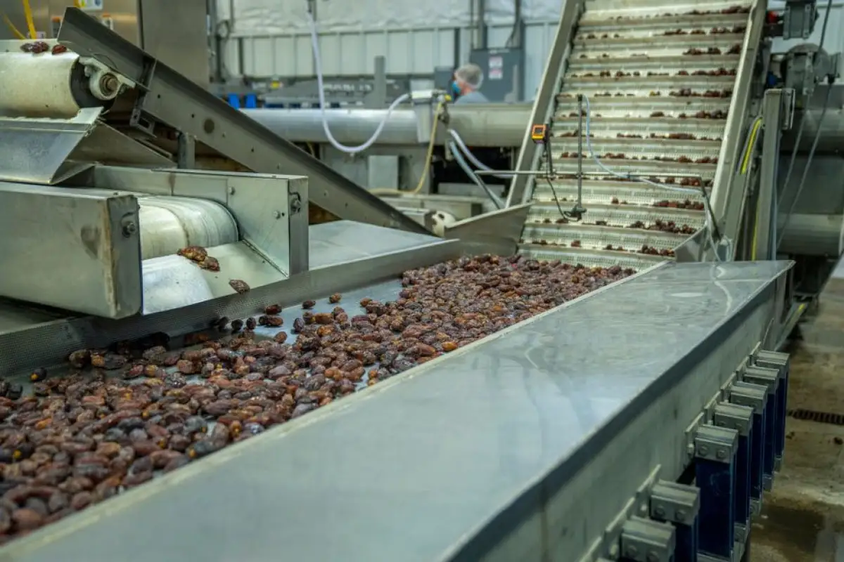 fruit processing plant