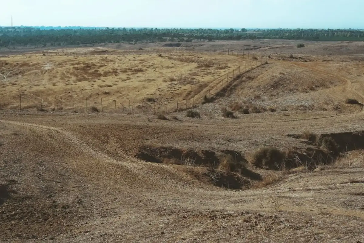 dry field drought