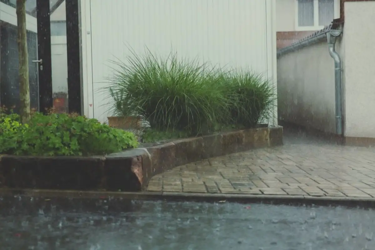 rainwater harvesting system