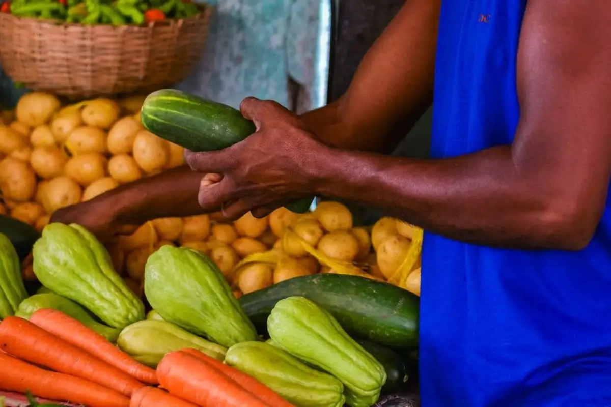cucumbers market stall