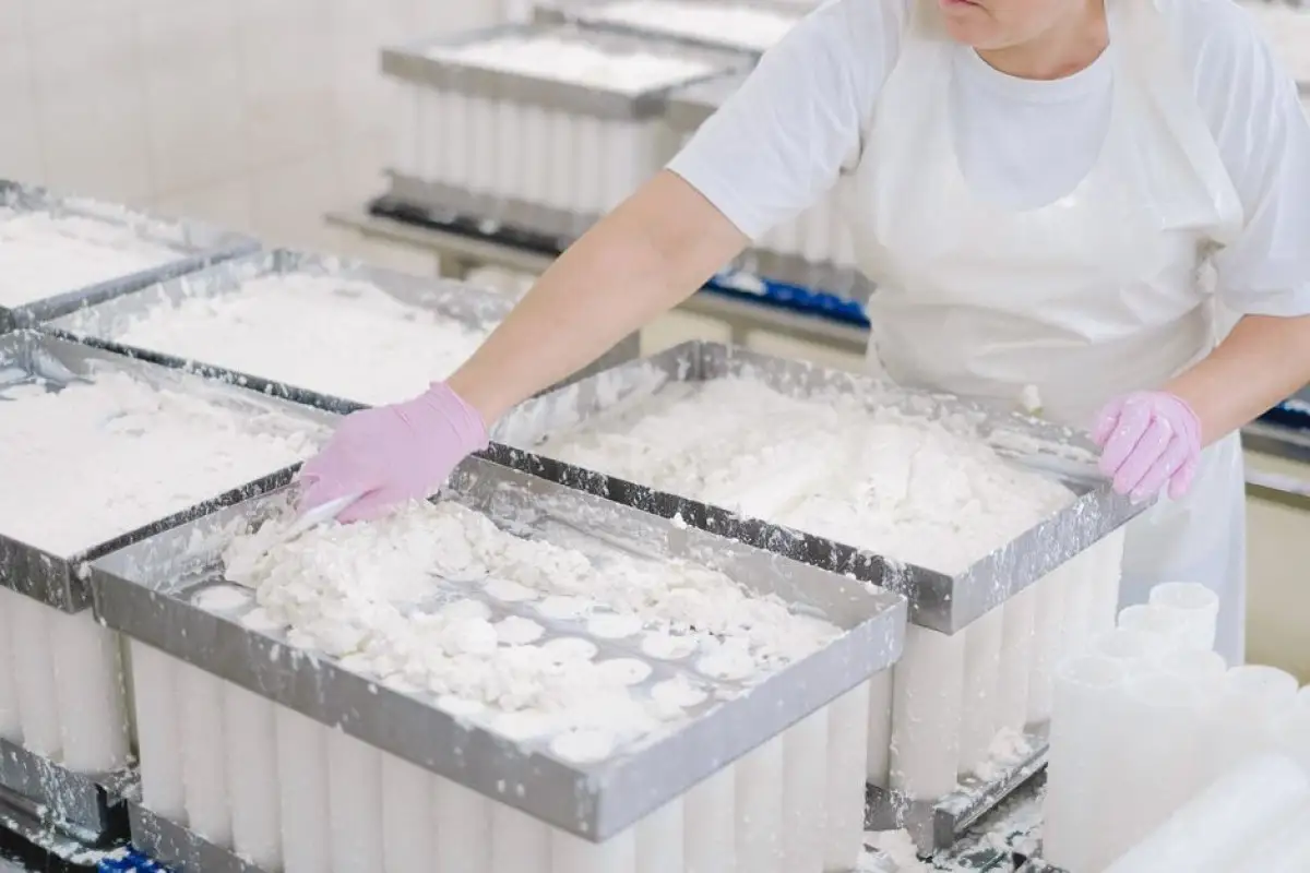 dairy factory