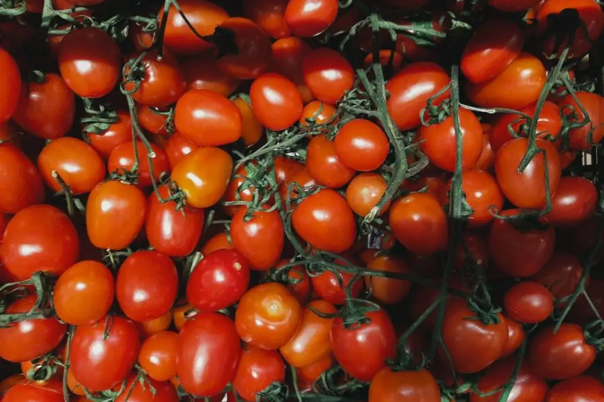 cherries in supermarket