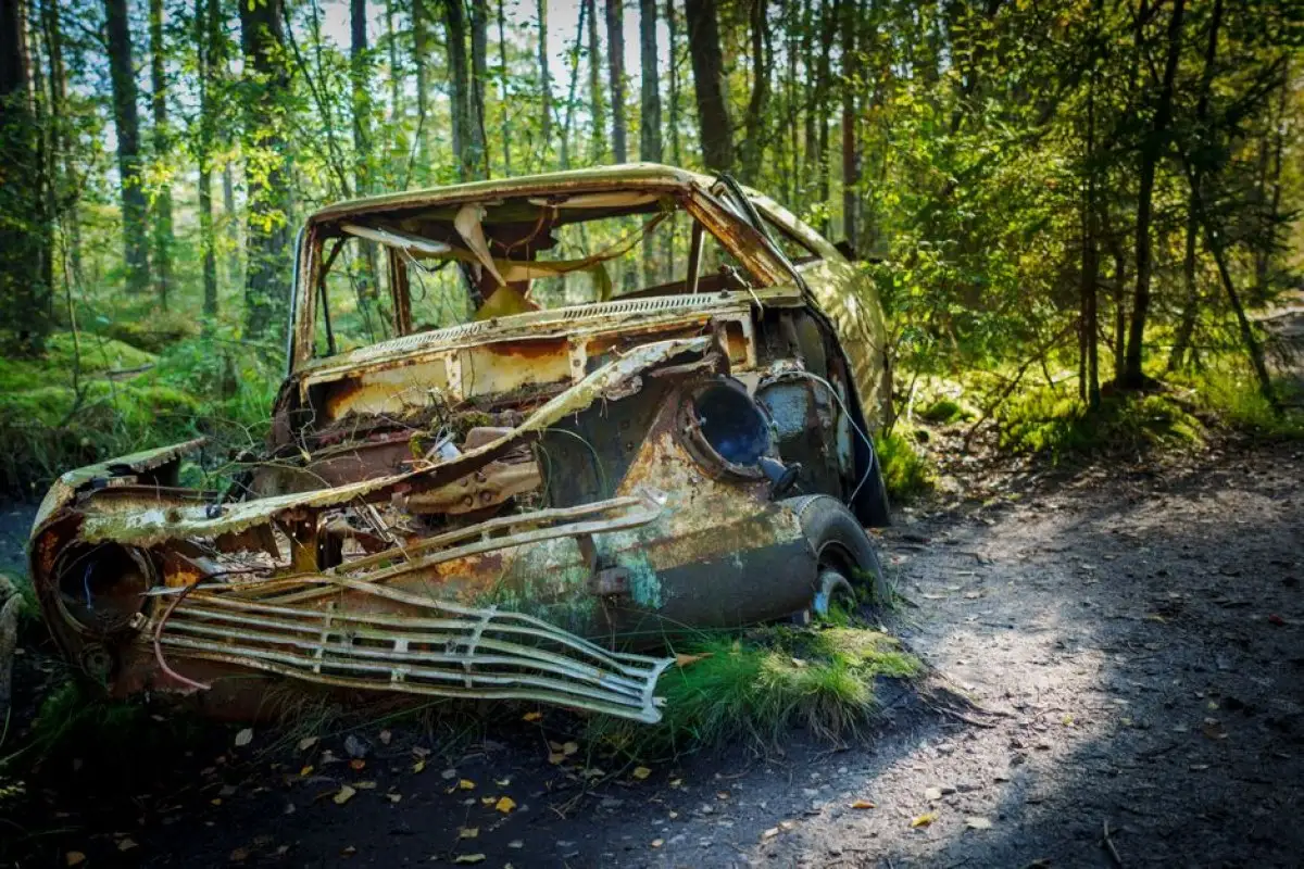 abandoned cars forest