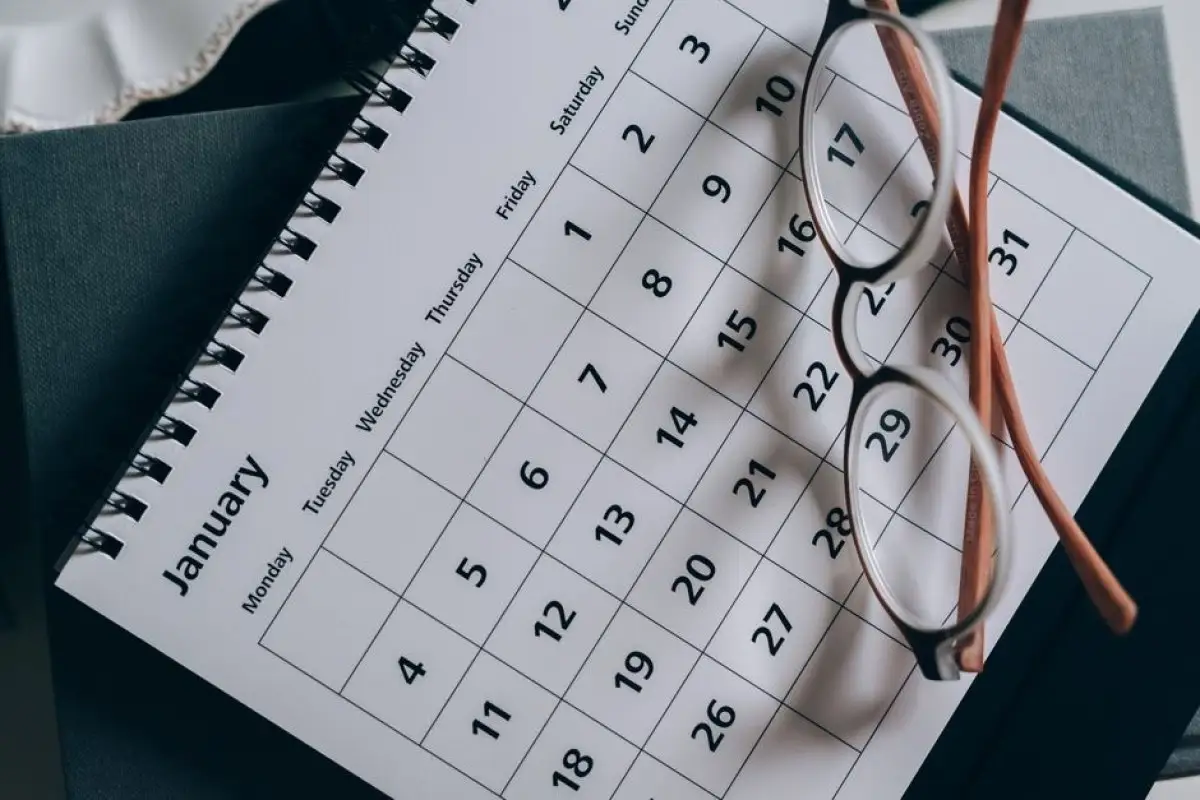 ZUS transfer calendar