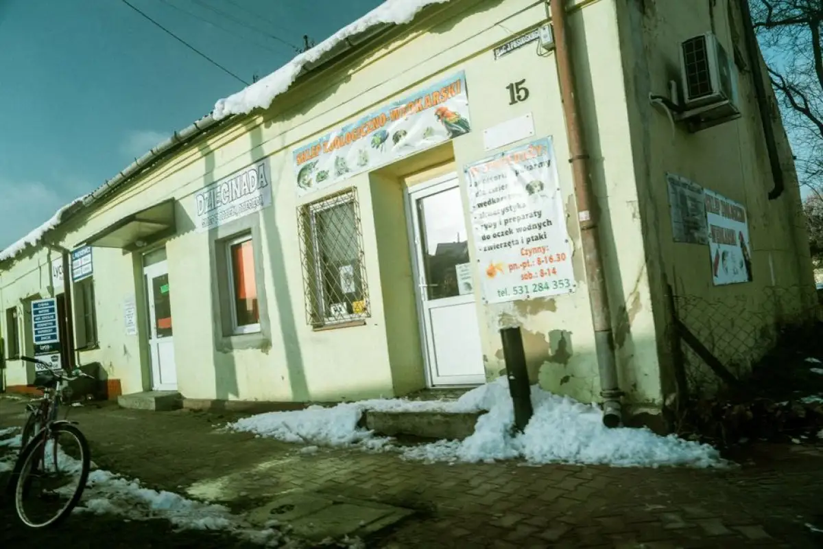 Zabka store Poland