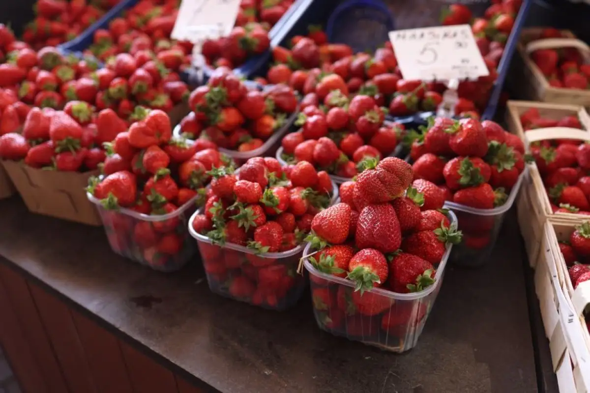 Strawberries market Germany