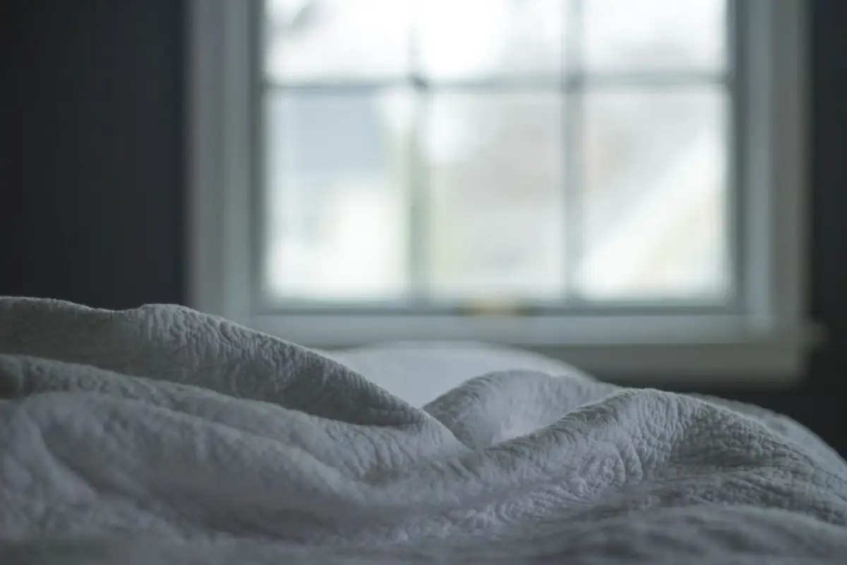 thermal blanket window