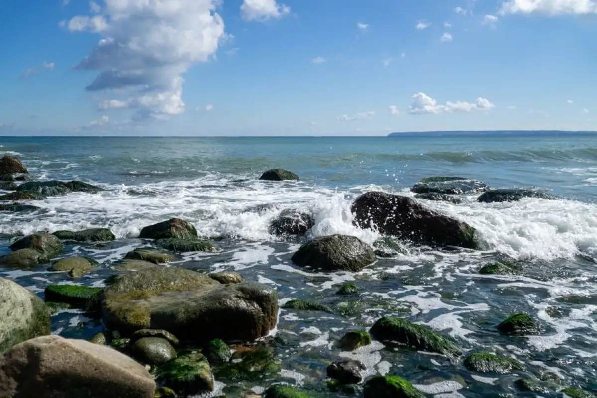 Baltic Sea beach
